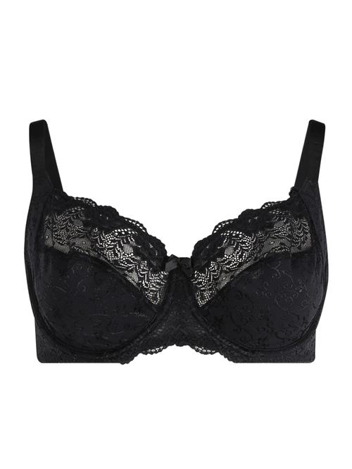 Dorina BH 'Philippa'  sort