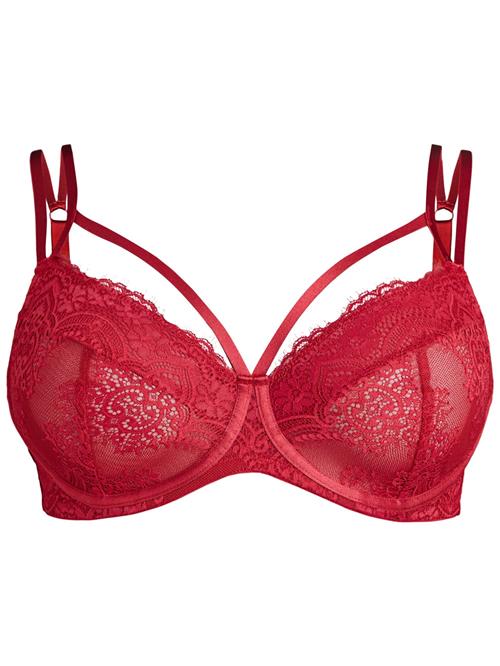 Devoted by Zizzi BH 'Lelsa'  rød