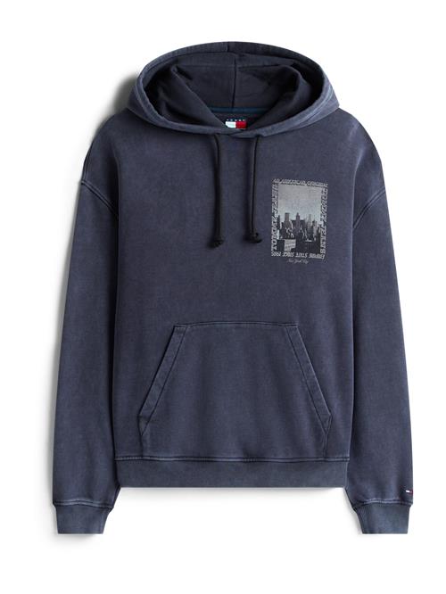 Tommy Jeans Sweatshirt  navy / sepia / mørkegrå / hvid