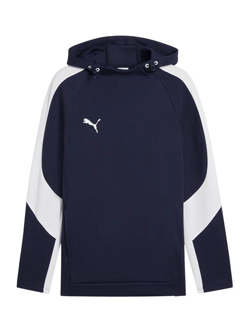 PUMA Sportsweatshirt 'TeamEvostripe'  blå / hvid