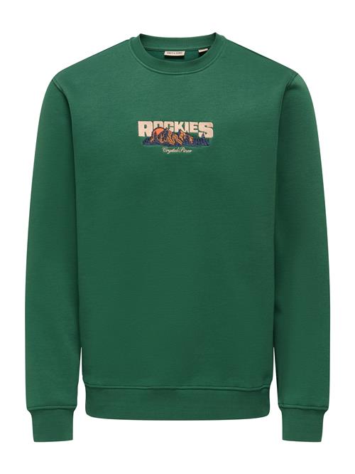 Only & Sons Sweatshirt 'ONSCONNOR'  ecru / marin / grøn