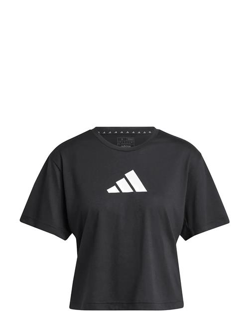 adidas Performance | We Bl Tee | XL