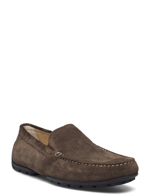 GEOX | U Moner V | 41