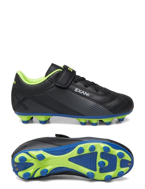 Exani | Matrix Jr | 34