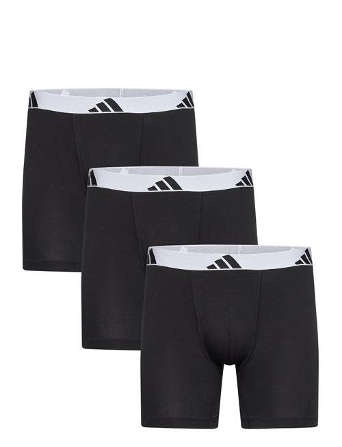 adidas Underwear | Shorts | XL