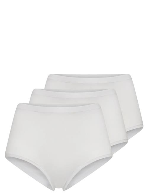 Decoy | Decoy Maxi 3-Pack | XXL