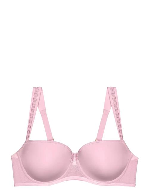 Triumph | Palina Cosmic Heartbeat Whp | G x 80