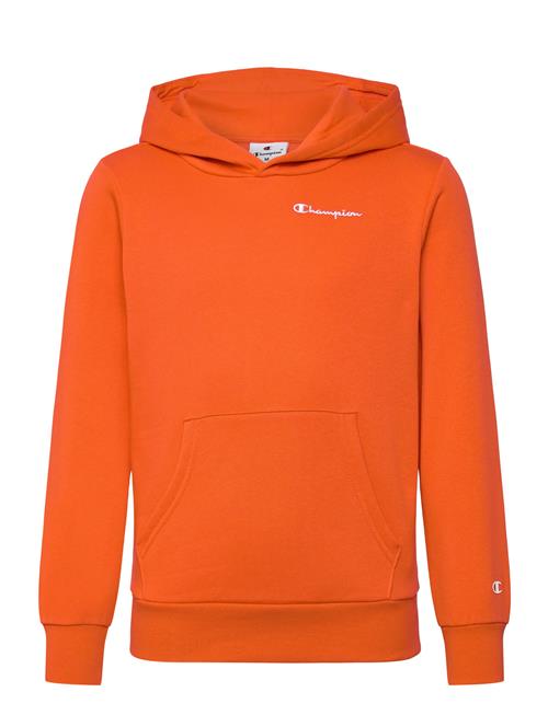 Champion | Hooded Sweatshirt | 174-179