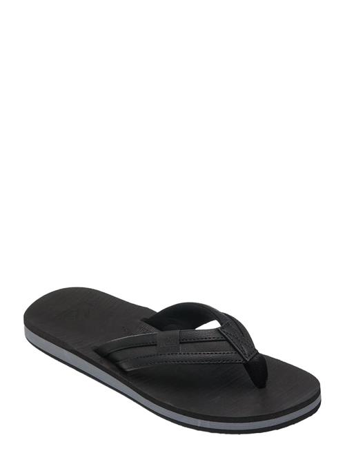 Quiksilver | Carver Squish 26 | 40