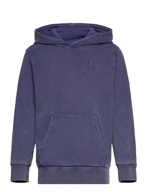 Champion | Hooded Sweatshirt | 102-107