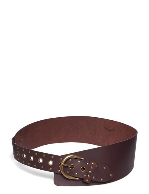 Levi's® | Buckle Up Wide Belt Chocolate | M