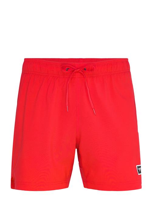 Speedo | Classic Logo Volley 16" | L