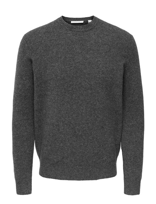 ONLY & SONS | Onsray Reg Ls Crew Knit Frml | L