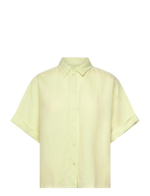 BOSS | C_Bisenas | 42