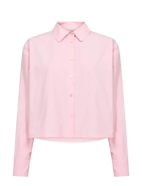 Soyaconcept | Sc-Netti | L