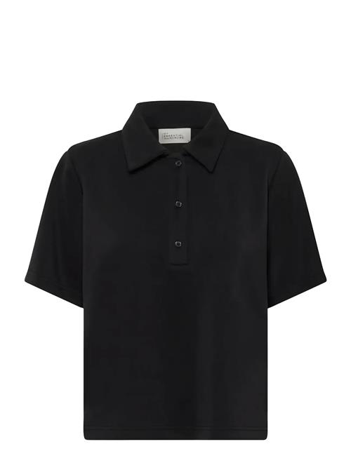 My Essential Wardrobe | Mwhelle Polo Tee | L