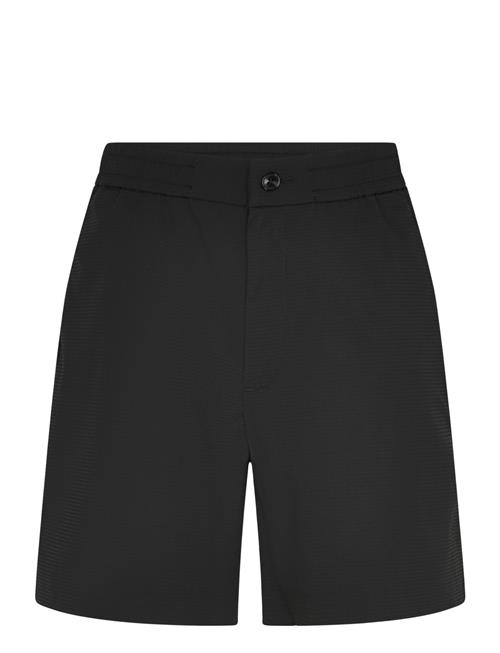 Calvin Klein | Straight Seersucker Elastic 7" S | 31