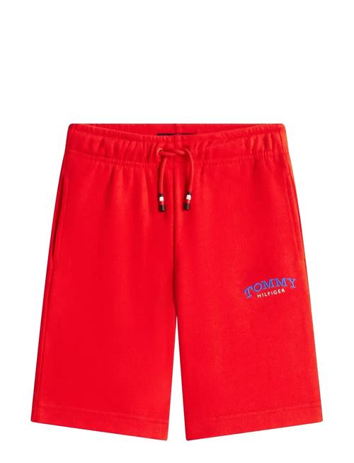Tommy Hilfiger | Monotype Graphic Sweatshort | 152