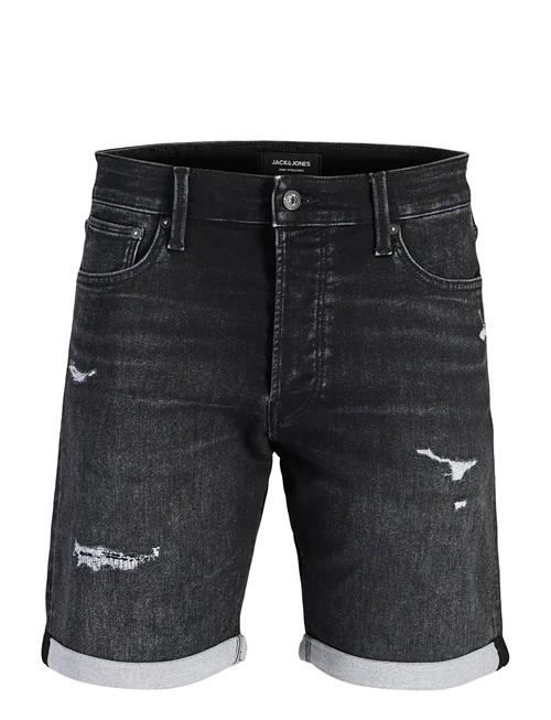 Jack & Jones | Jjirick Jjicon I.k. Shorts Ge 066 | XL