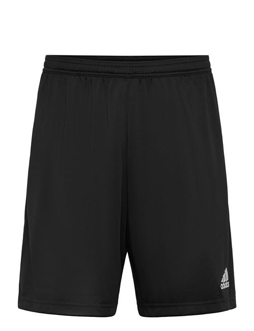 adidas Performance | Ent22 Tr Sho | M