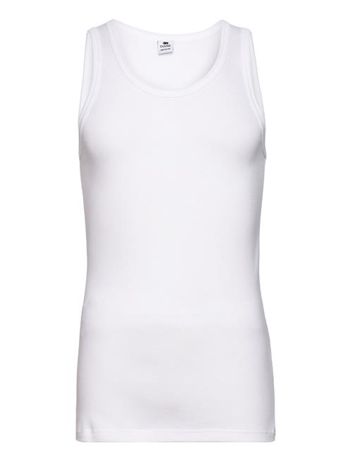 Dovre | Dovre Sportstrøje Organic. | XXL