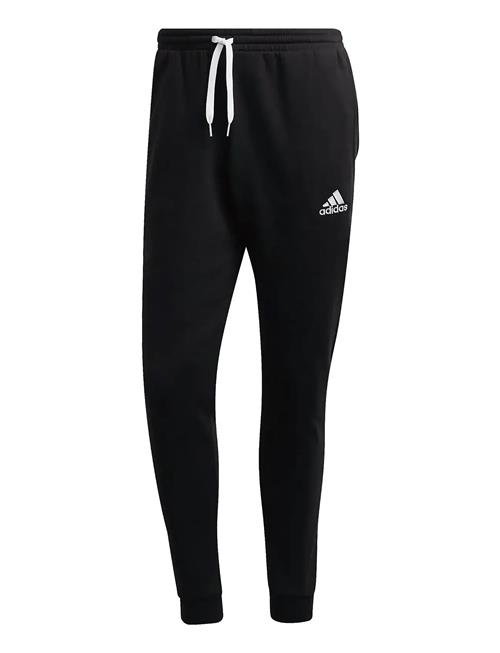 adidas Performance | Ent22 Sw Pnt | L