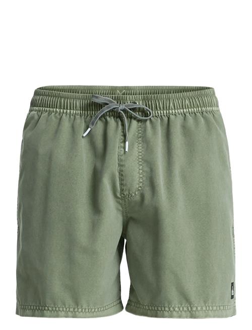 Quiksilver | Everyday Surfwash Volley 15 | L