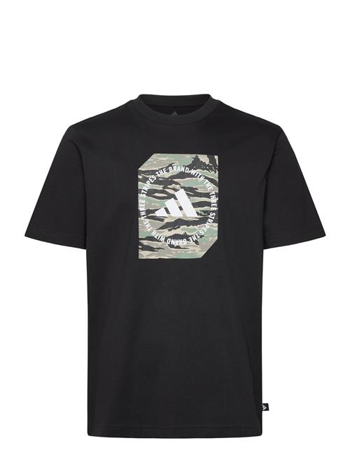 adidas Sportswear | M C Camo Box T | XXL