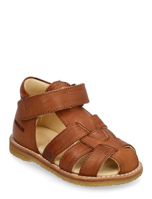 ANGULUS | Sandals - Flat - Closed Toe - | 23