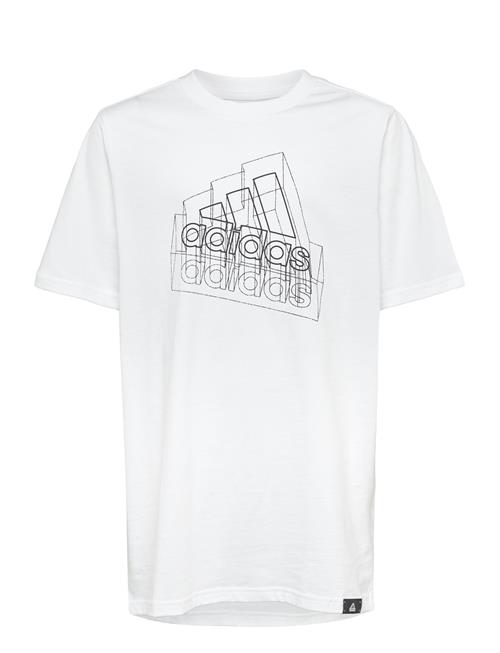 adidas Sportswear | Tech Table | 164