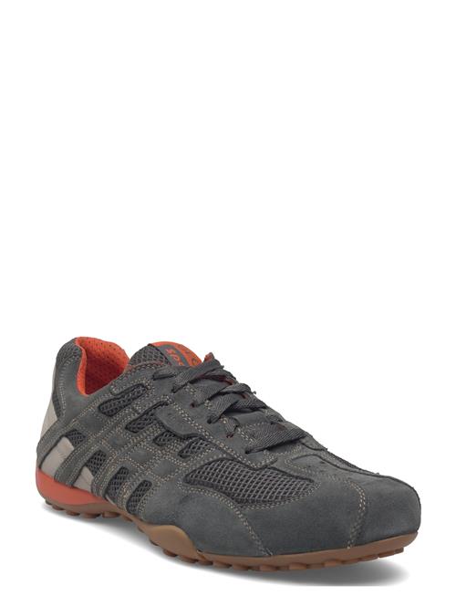 GEOX | U Snake Original A | 45