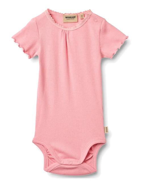 Wheat | Rib Body S/S Edna | 92