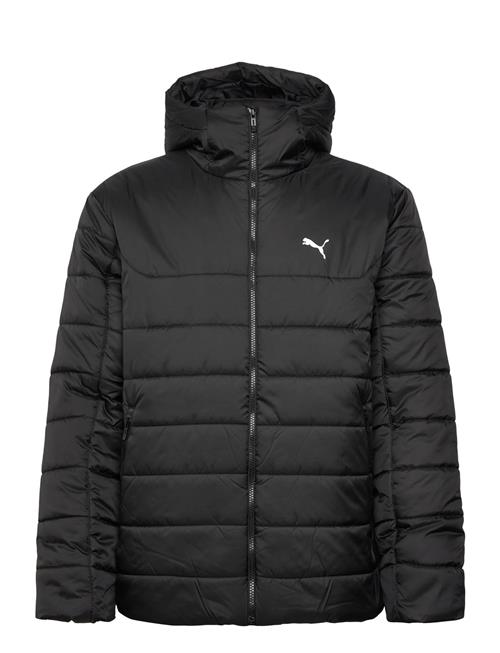 PUMA | Ess Hooded Padded Jacket | L
