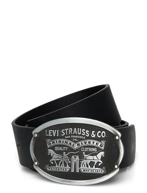 Levi's® | Billy Plaque Belt Regular Blac | 100