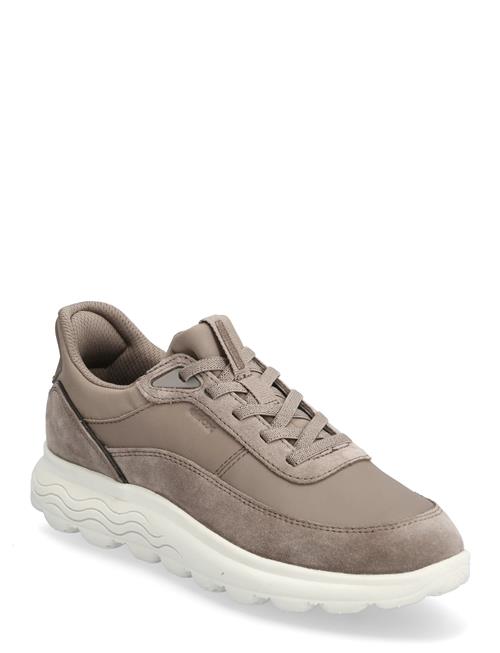 GEOX | D Spherica Plus B | 40