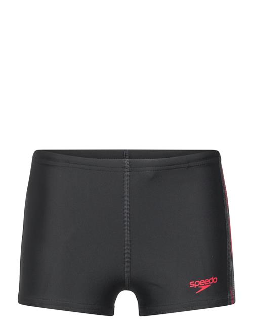 Speedo | Placement Aquashort | 152