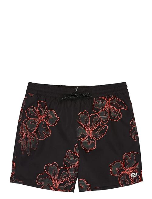 Billabong | Sundays Lb | L
