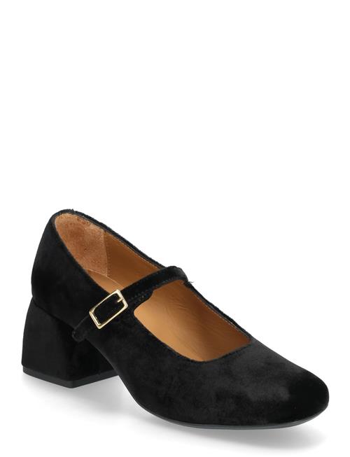 ANGULUS | Shoes - Heel - With Buckle | 39