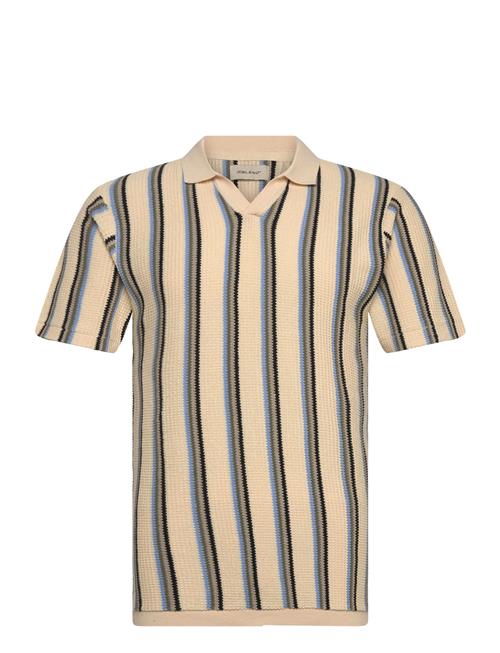 Blend | Bhamos Polo | M