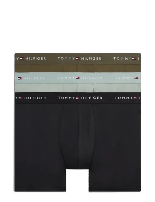 Tommy Hilfiger | 3P Boxer Brief Dtm | XL