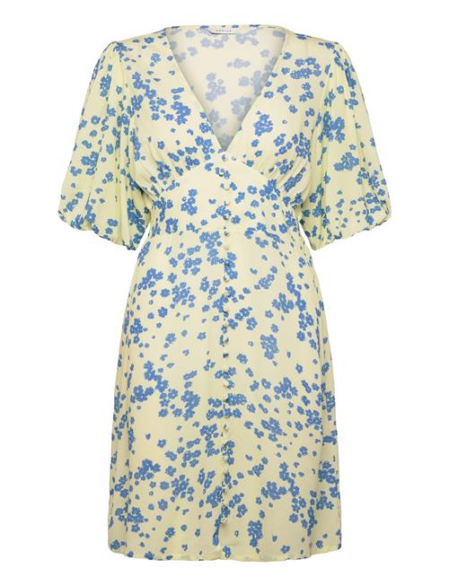 Noella | N-Lilliana Dress | M