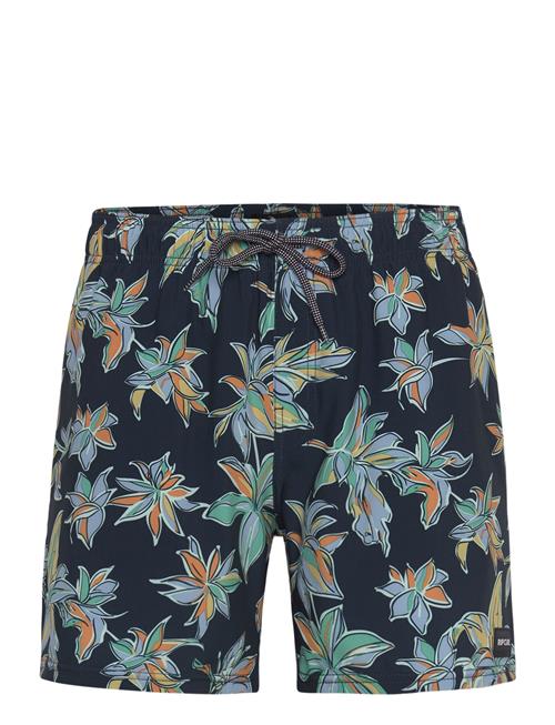 Rip Curl | Sessions Volley | S