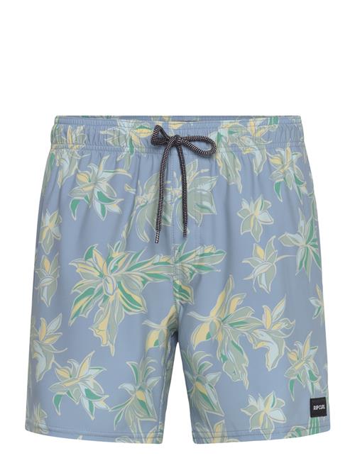 Rip Curl | Sessions Volley | XXL