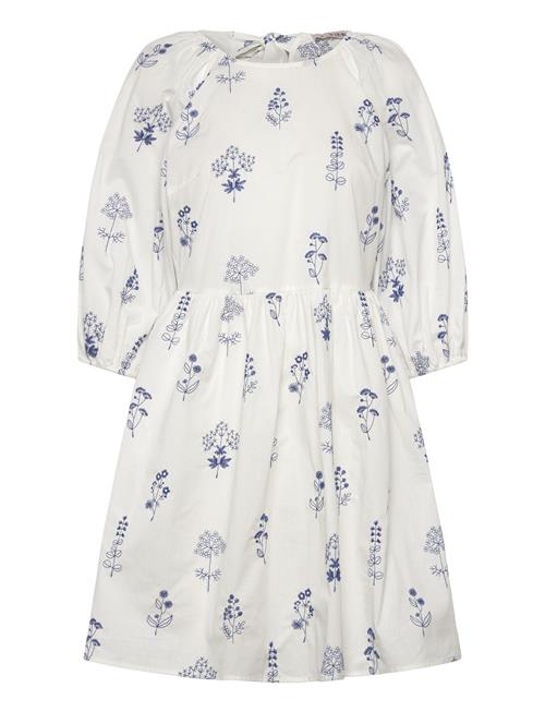 A-View | Agnelia Dress | 36