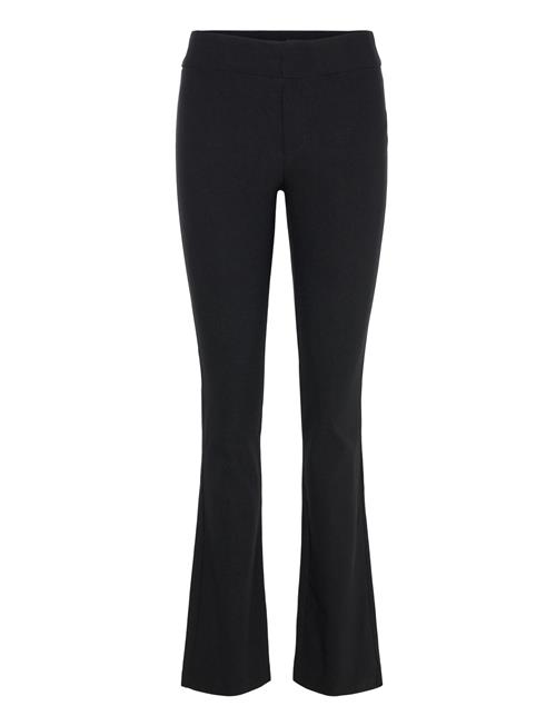 Noella | Leneta Pants | M