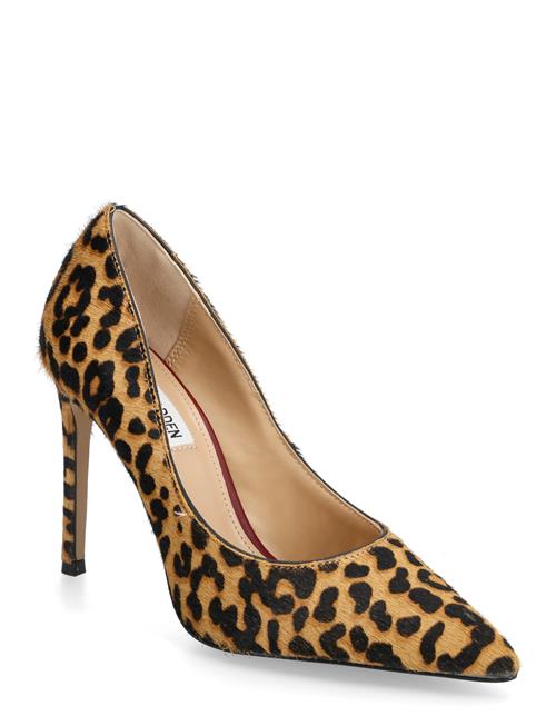 Steve Madden | Thrive-L | 37