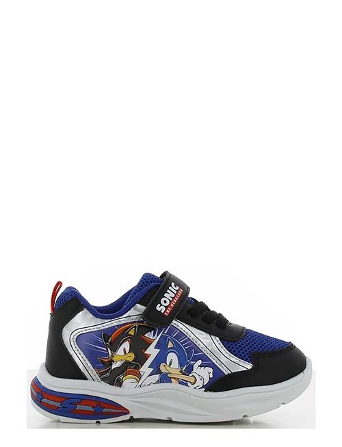 Leomil | Sonic Sneaker | 26