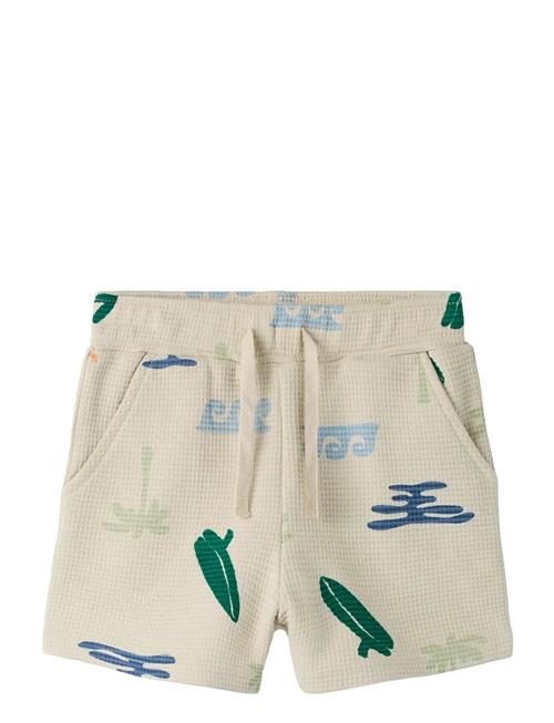 name it | Nmmfalcan Nreg Shorts | 104