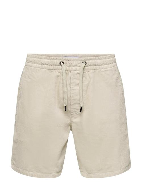 ONLY & SONS | Onstel Corduroy 0185 Shorts Noos | XL