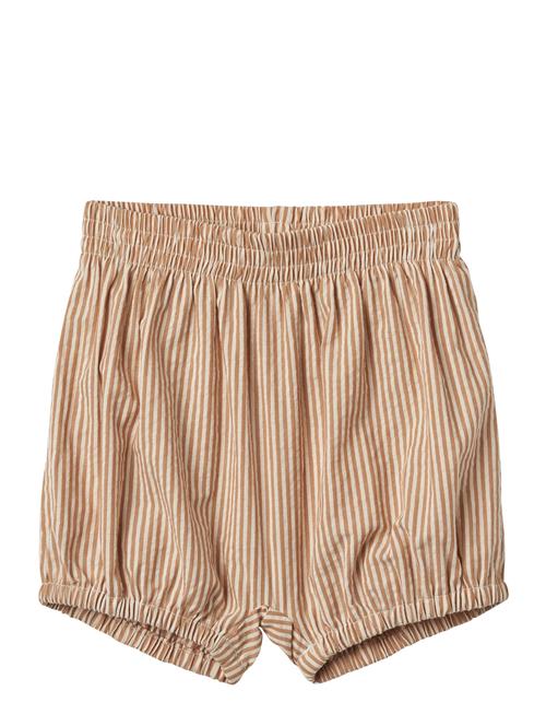 Wheat | Shorts Ollie | 80